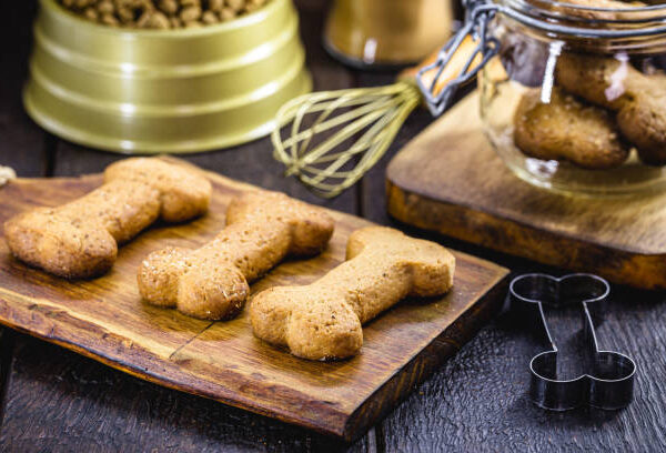 Delicious and Easy Homemade Dog Treats-Peanut Butter and Bacon Goodies